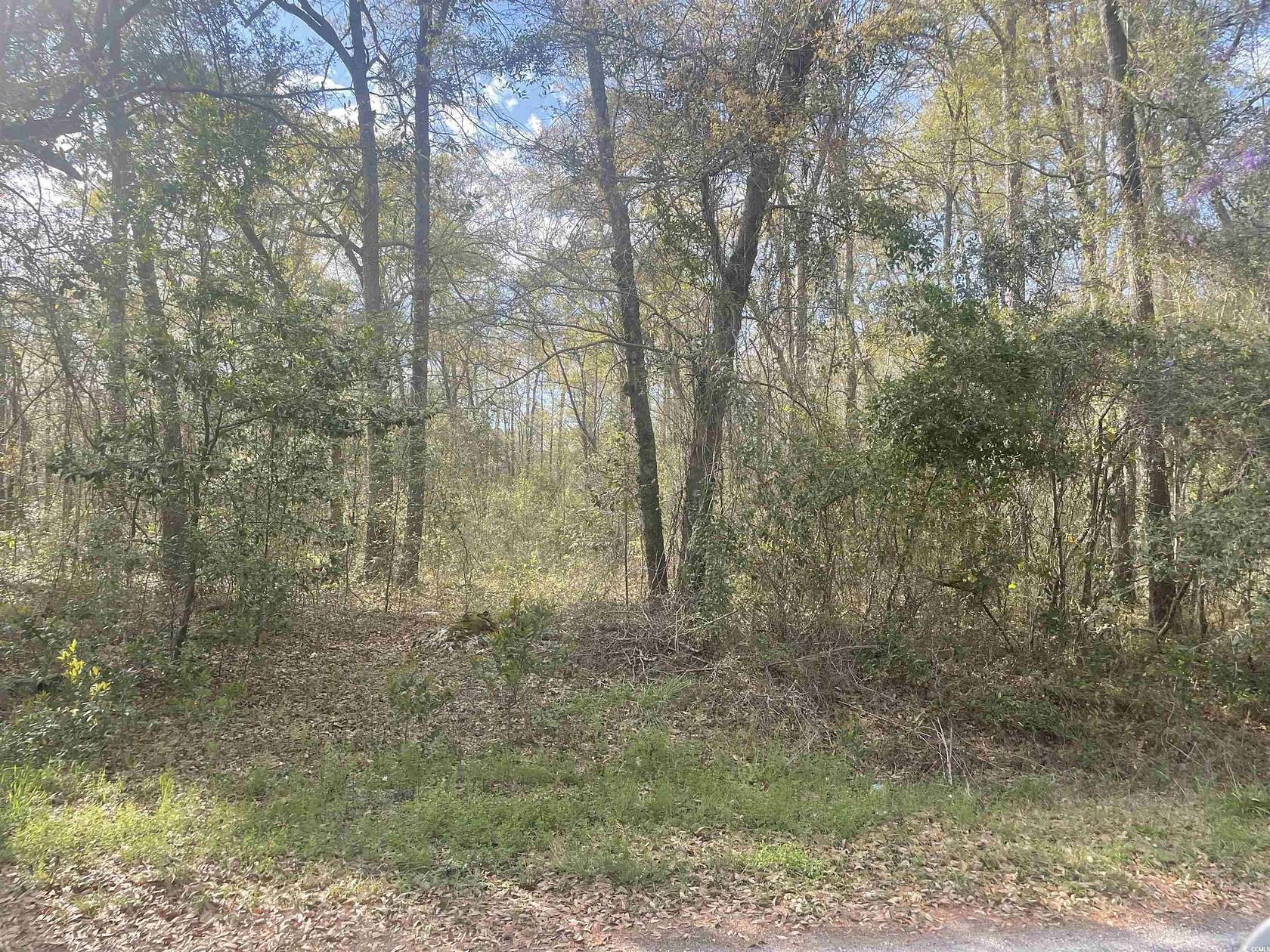 0.9 Acres of Residential Land for Sale in Kingstree, South Carolina
