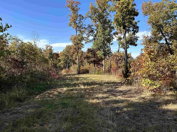 60 Acres of Land for Sale in Cole Camp, Missouri