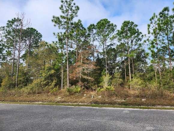 0.48 Acres of Land for Sale in Panacea, Florida