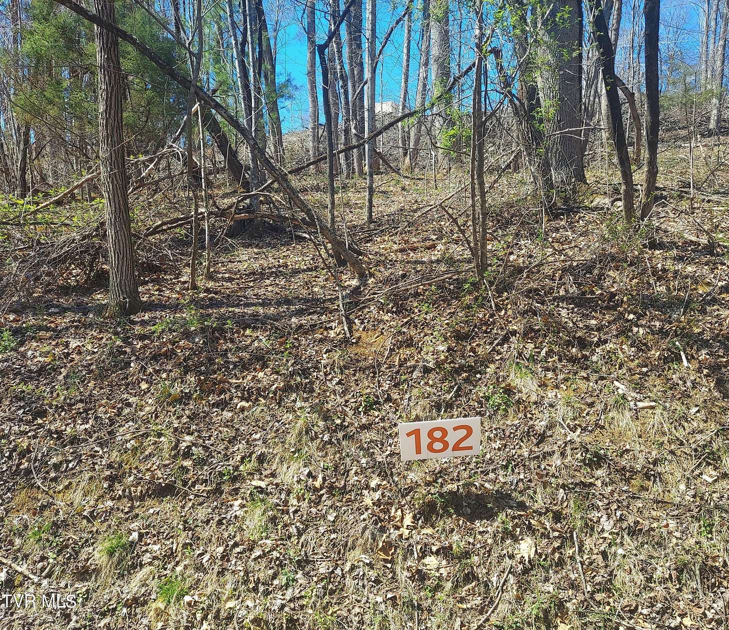 0.71 Acres of Residential Land for Sale in Unicoi, Tennessee