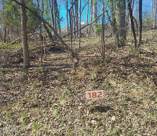 0.71 Acres of Residential Land for Sale in Unicoi, Tennessee
