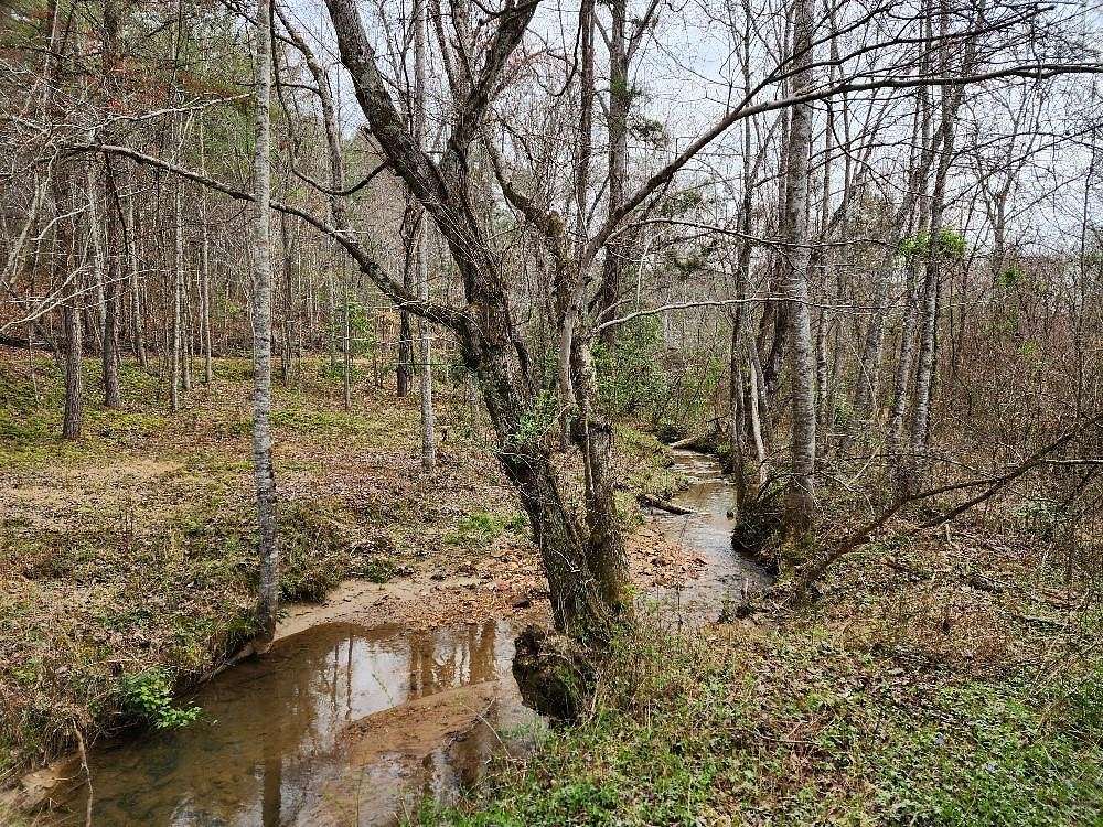 14 Acres of Land for Sale in Murphy, North Carolina