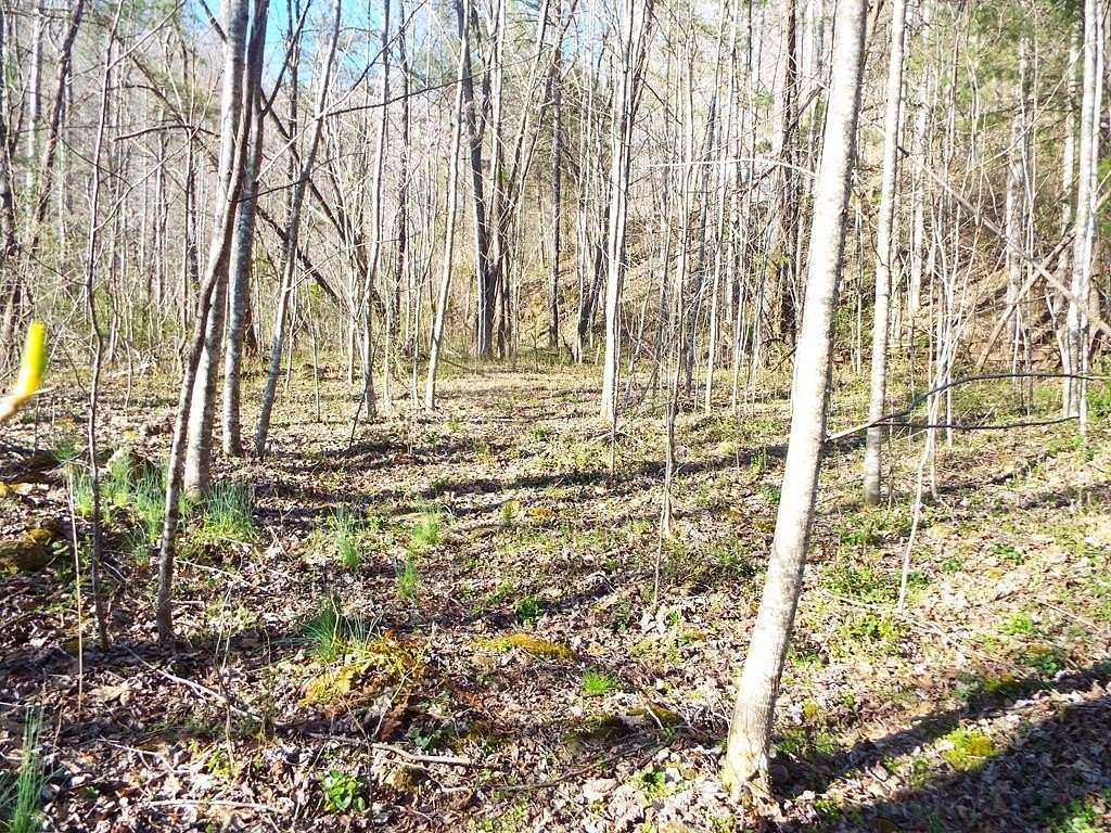 6.72 Acres of Land for Sale in Tuckasegee, North Carolina