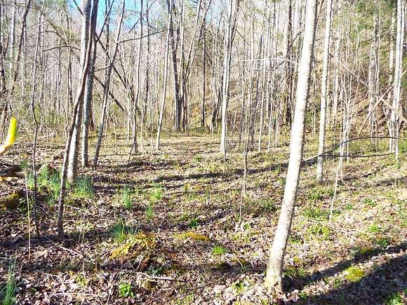 6.7 Acres of Residential Land for Sale in Tuckasegee, North Carolina