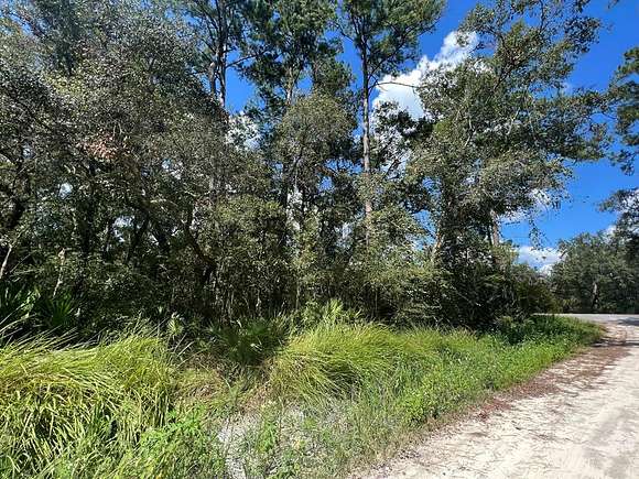 0.27 Acres of Land for Sale in Old Town, Florida