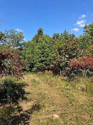 5.3 Acres of Land for Sale in Annapolis, Missouri