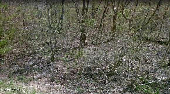 0.14 Acres of Residential Land for Sale in Crossville, Tennessee