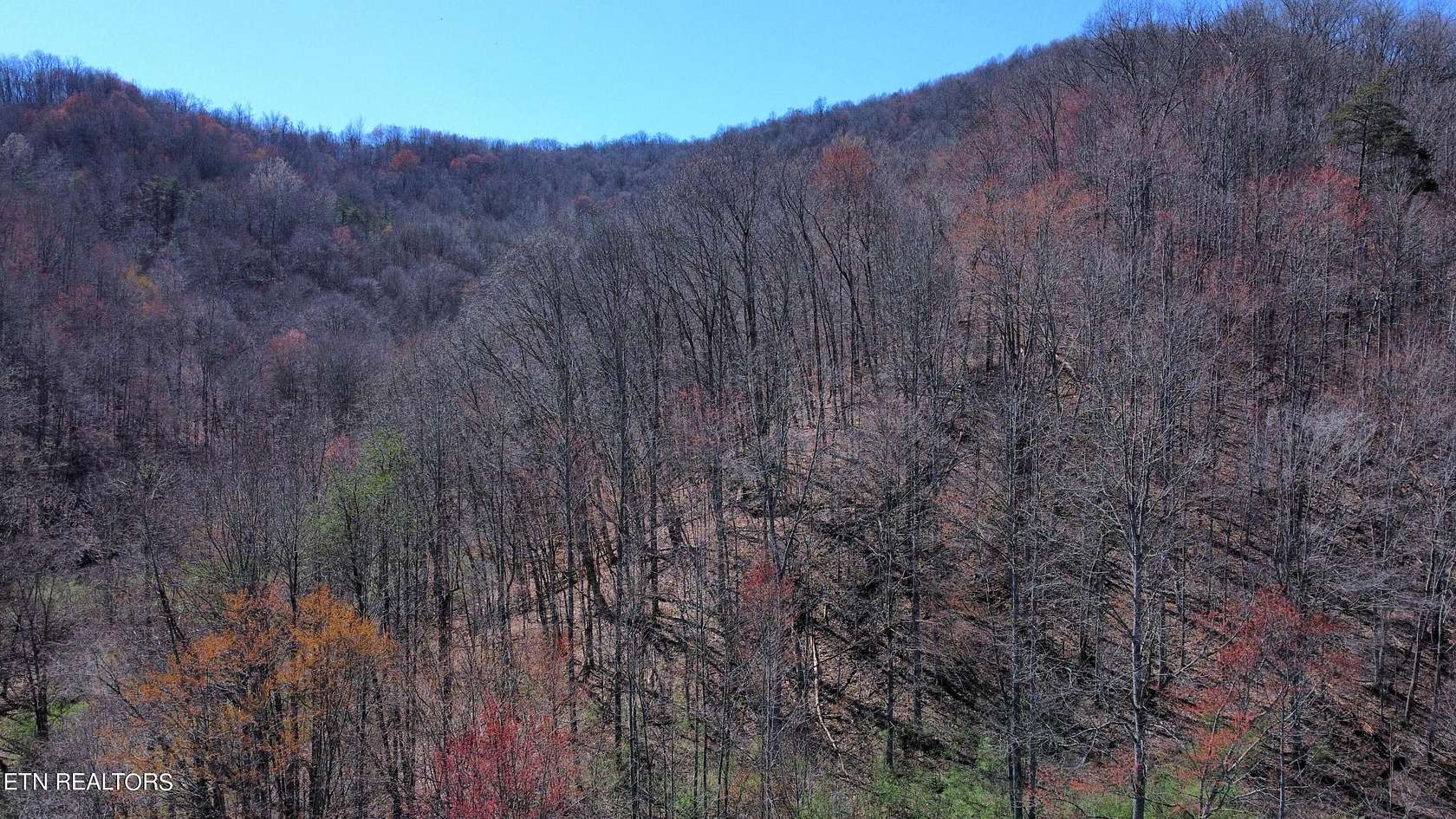 85 Acres of Land for Sale in La Follette, Tennessee