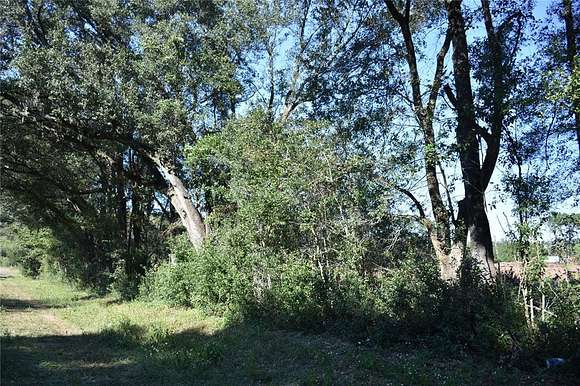 40 Acres of Agricultural Land for Sale in Archer, Florida