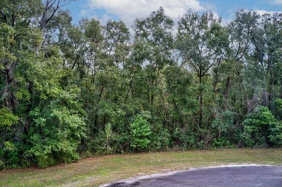 5 Acres of Land for Sale in Newberry, Florida