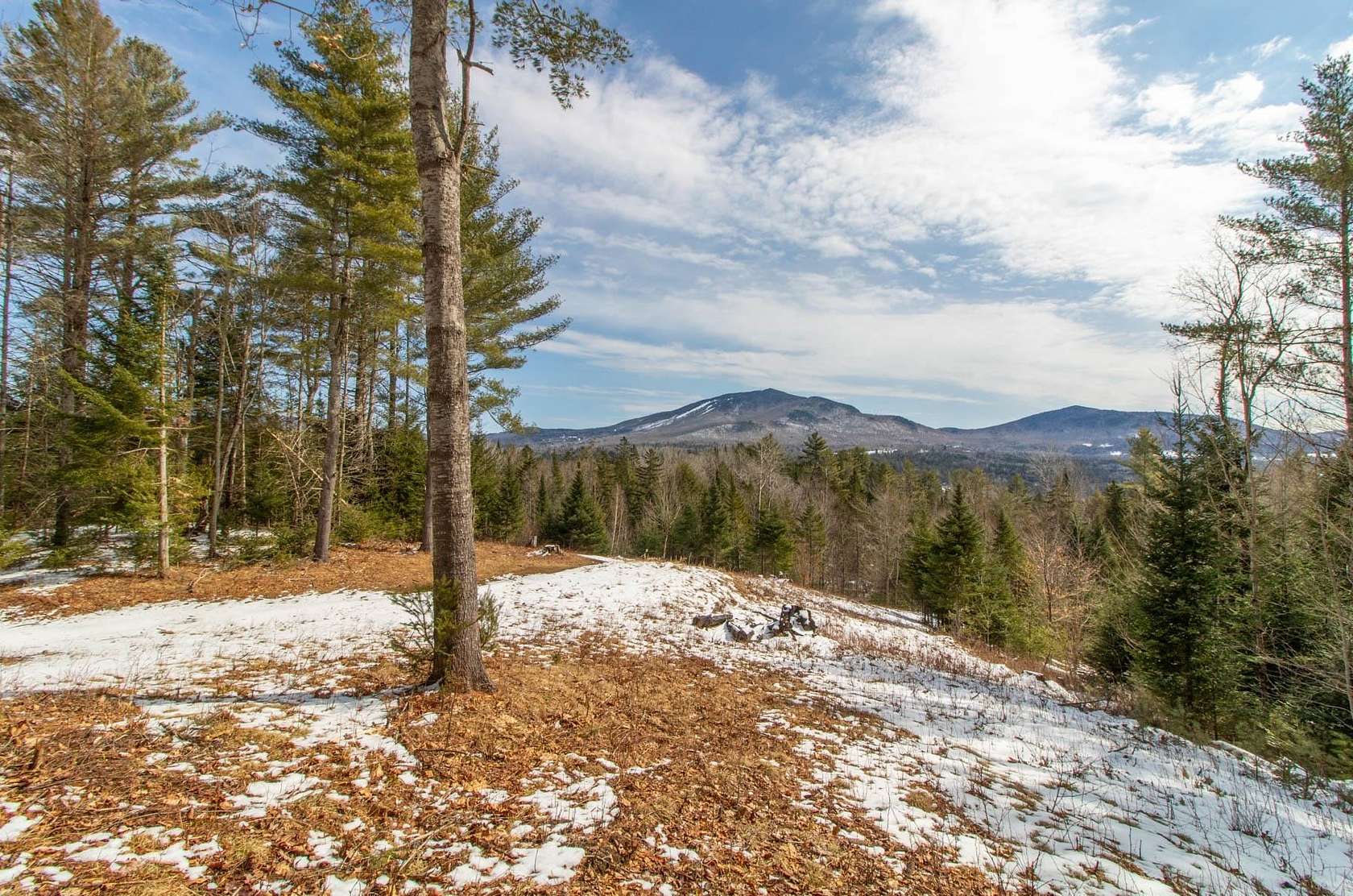 12.2 Acres of Land for Sale in Burke Town, Vermont