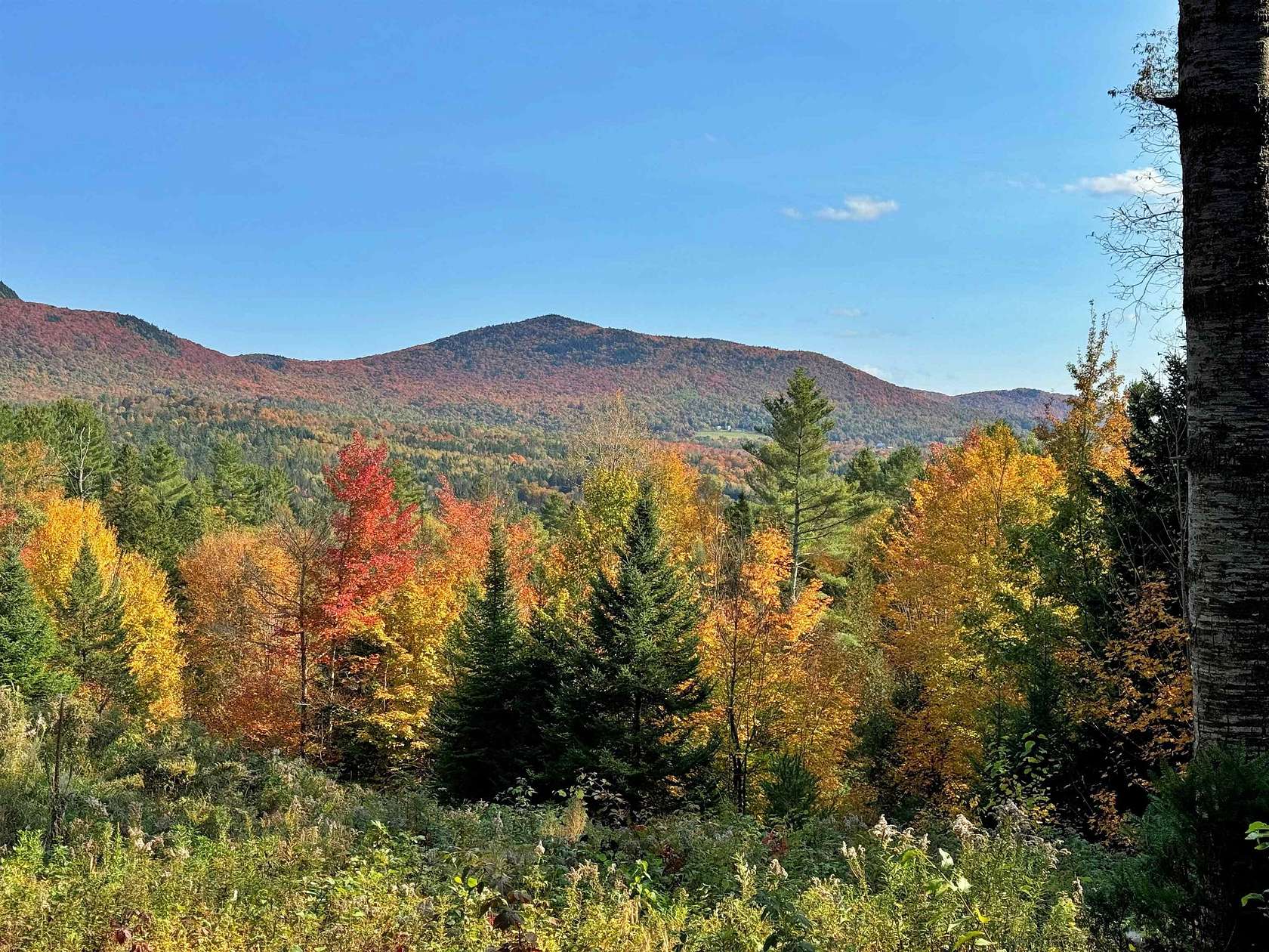 12.2 Acres of Land for Sale in Burke Town, Vermont