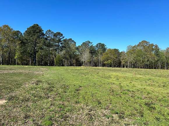 16.7 Acres of Land for Sale in Midland City, Alabama