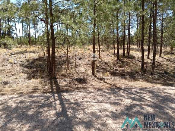 0.5 Acres of Land for Sale in Timberon, New Mexico