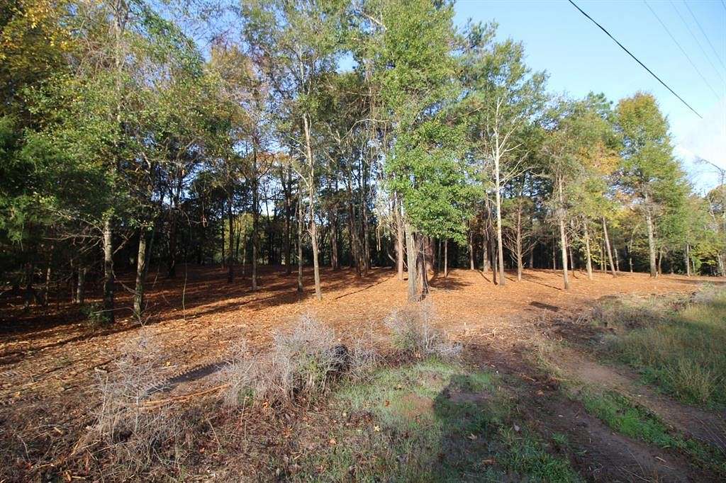 2.4 Acres of Residential Land for Sale in Athens, Texas