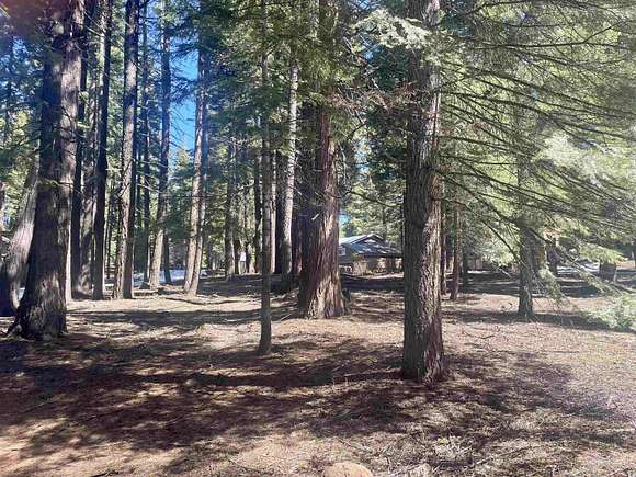 0.39 Acres of Residential Land for Sale in Lake Almanor Country Club, California