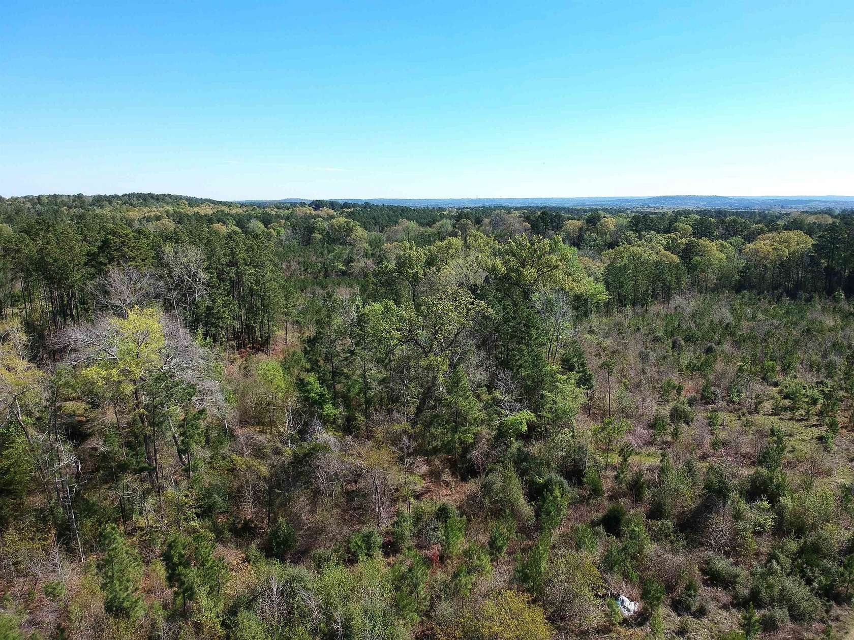 48.5 Acres of Recreational Land for Sale in Rusk, Texas