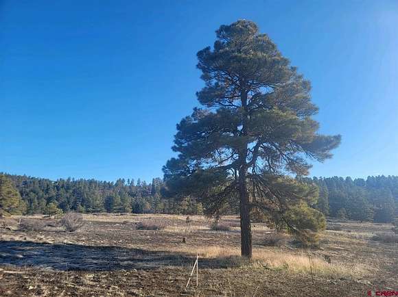 0.64 Acres of Residential Land for Sale in Pagosa Springs, Colorado