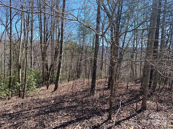 4.1 Acres of Residential Land for Sale in Marion, North Carolina