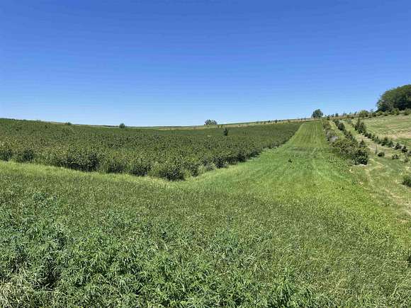 4.17 Acres of Residential Land for Sale in Sioux City, Iowa