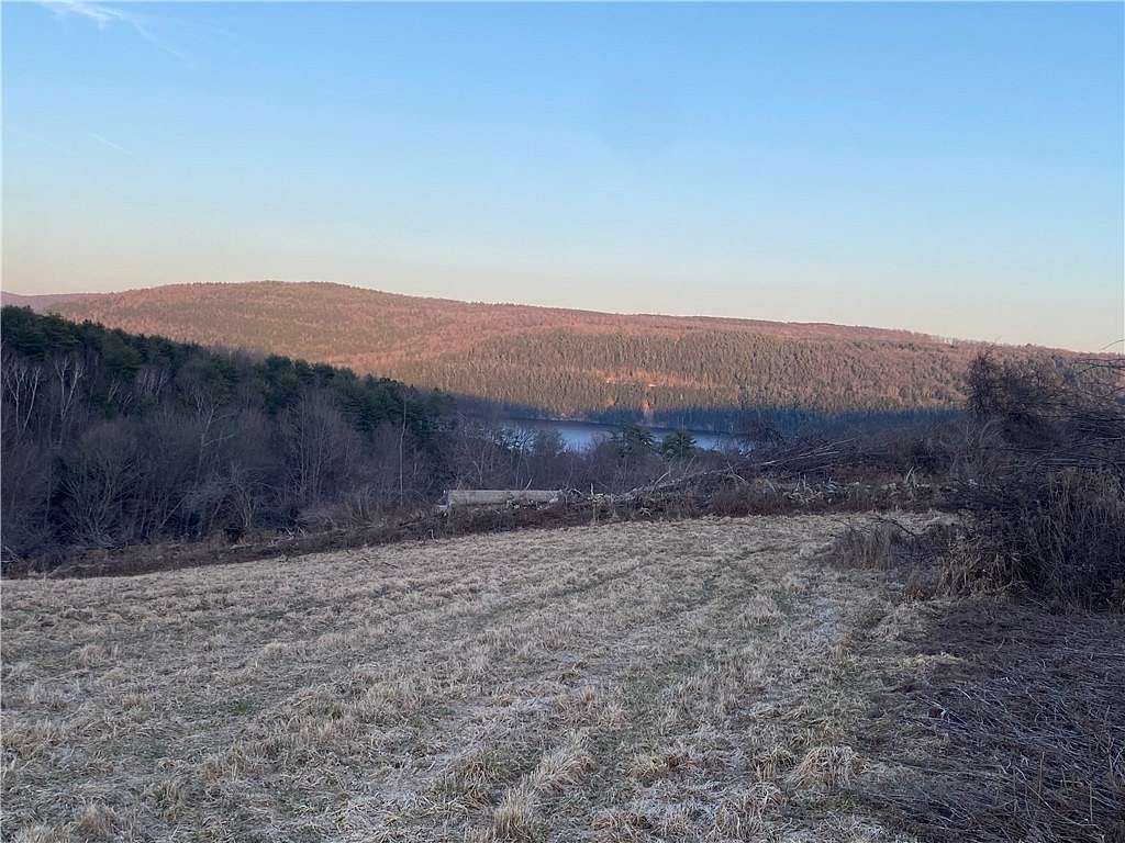 9.4 Acres of Residential Land for Sale in Otsego Town, New York