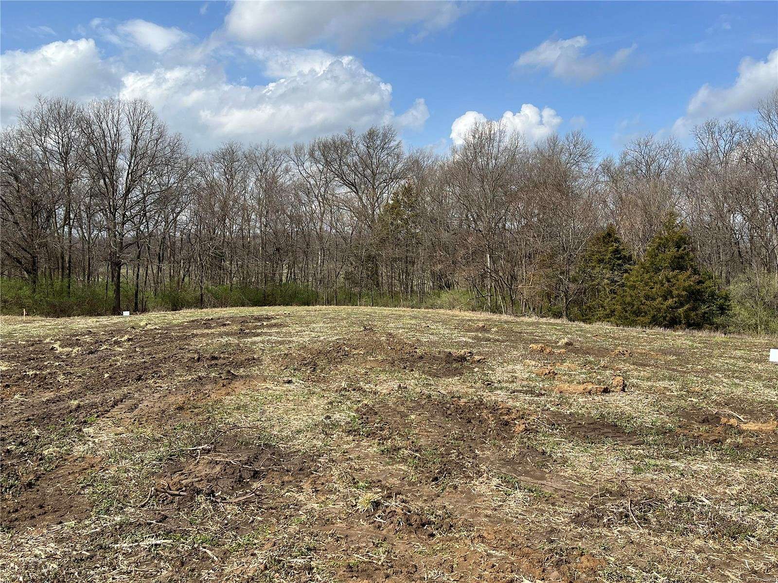 6 Acres of Land for Sale in Eolia, Missouri