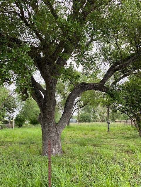 0.37 Acres of Land for Sale in Alice, Texas
