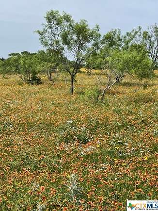 69.1 Acres of Recreational Land for Sale in Goldthwaite, Texas