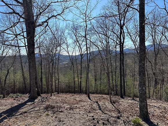 1 Acre of Land for Sale in Young Harris, Georgia