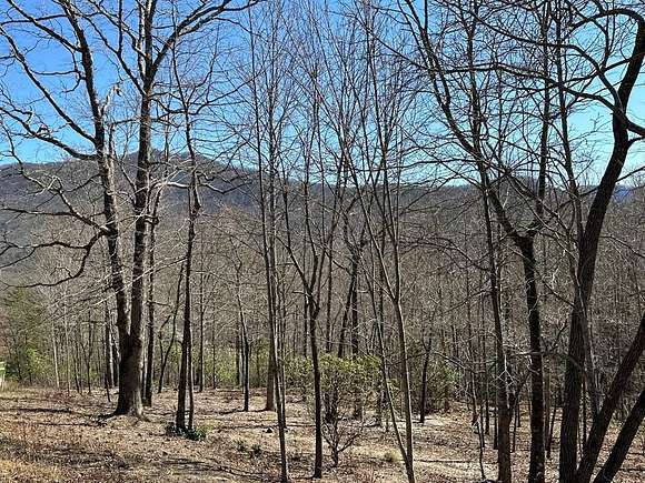 0.8 Acres of Land for Sale in Young Harris, Georgia