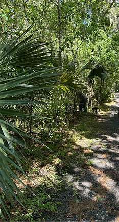 0.23 Acres of Land for Sale in Crescent City, Florida