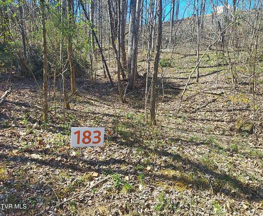 0.7 Acres of Land for Sale in Unicoi, Tennessee