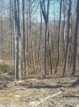 0.81 Acres of Land for Sale in Unicoi, Tennessee