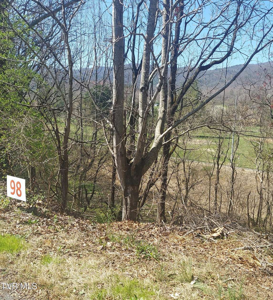 0.58 Acres of Residential Land for Sale in Unicoi, Tennessee