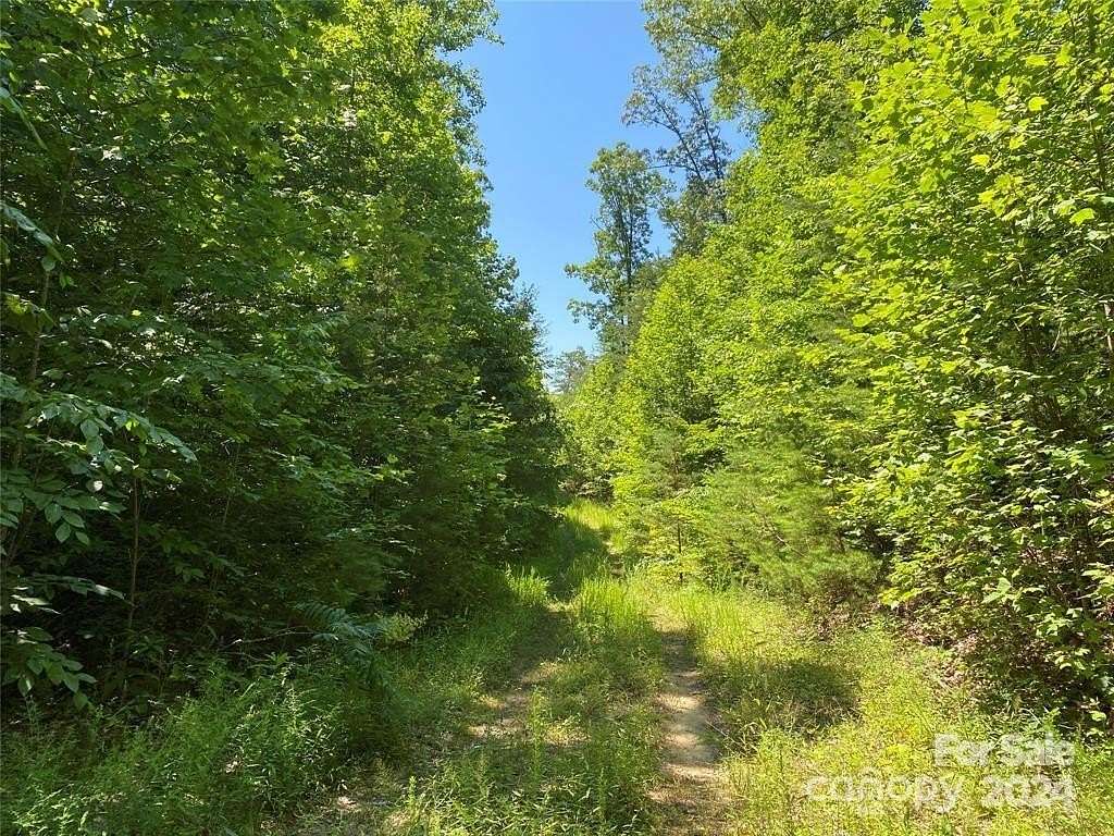 90.3 Acres of Land for Sale in Union Mills, North Carolina