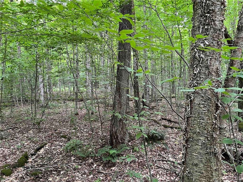 40.4 Acres of Recreational Land for Sale in Taylor, New York
