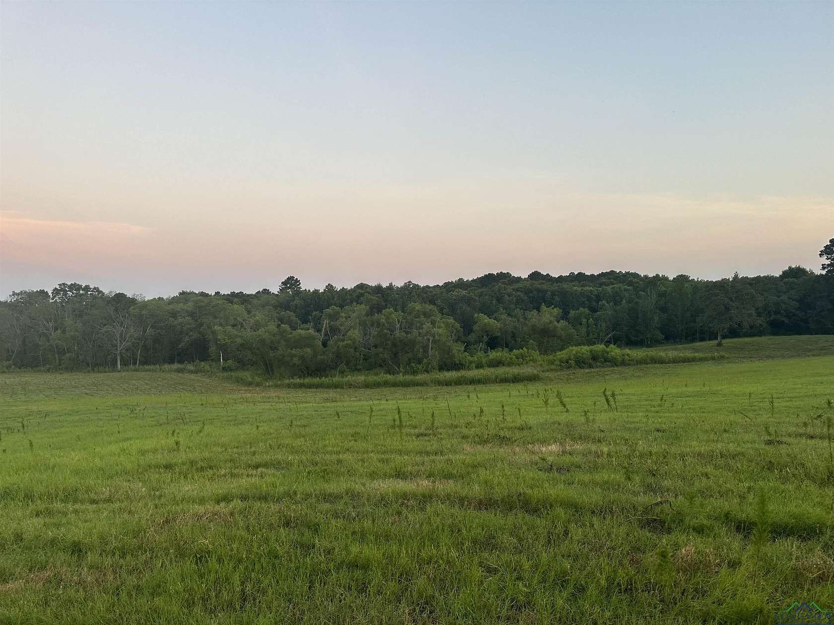 24.7 Acres of Land for Sale in Gilmer, Texas