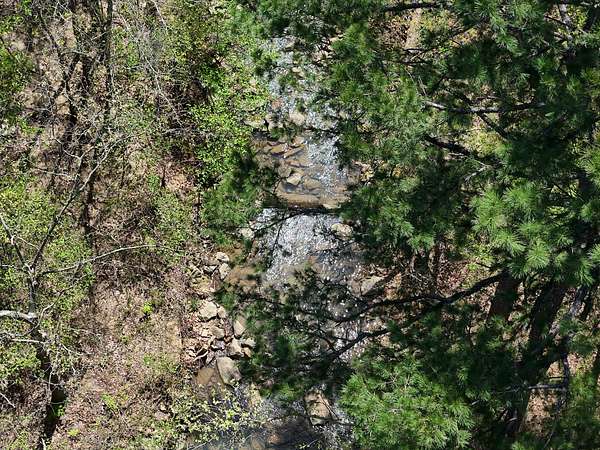 47.5 Acres of Recreational Land for Sale in Talihina, Oklahoma