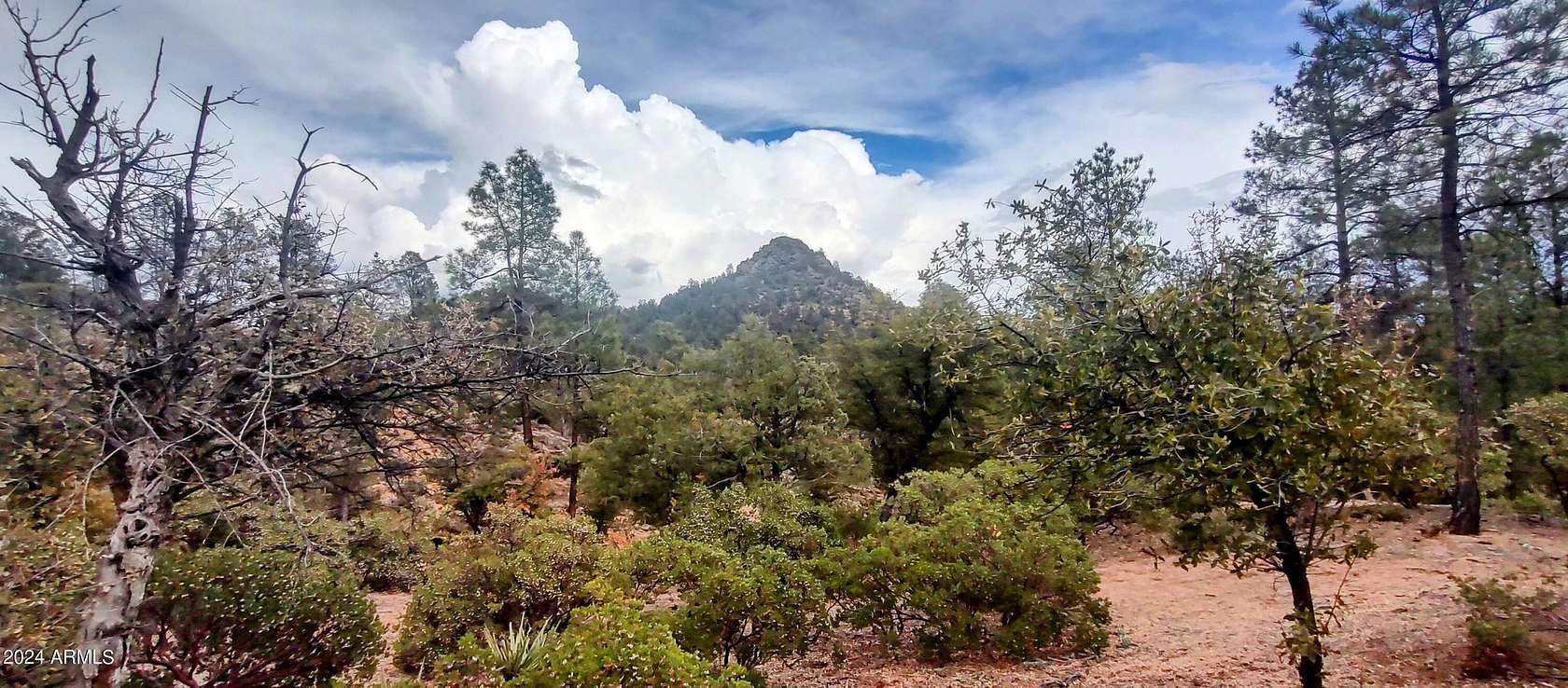 1 Acre of Residential Land for Sale in Payson, Arizona