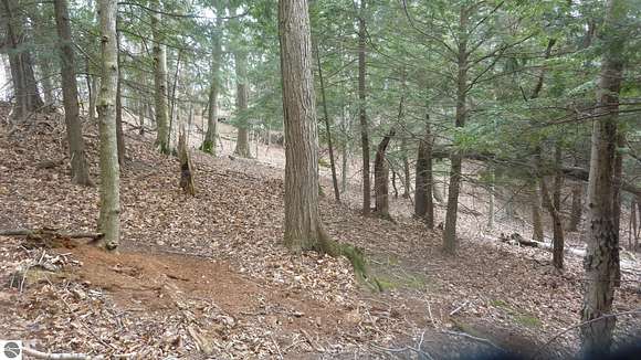 2.1 Acres of Land for Sale in Frankfort, Michigan
