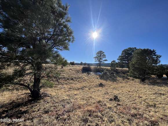 8.16 Acres of Residential Land for Sale in Greer, Arizona