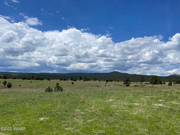 8.13 Acres of Residential Land for Sale in Greer, Arizona