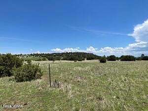 40.7 Acres of Land for Sale in Greer, Arizona