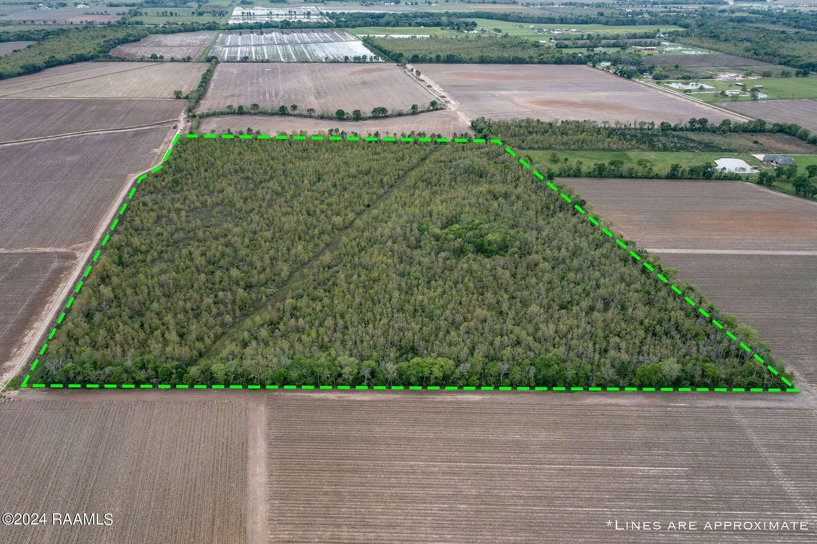 40 Acres of Recreational Land for Sale in Rayne, Louisiana