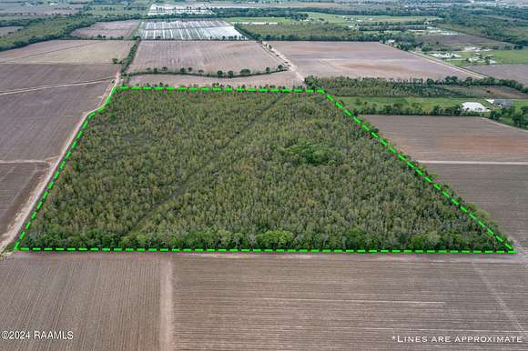 51.6 Acres of Recreational Land for Sale in Rayne, Louisiana