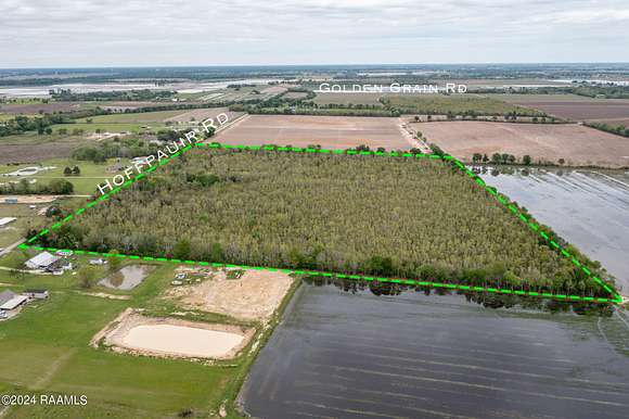 40 Acres of Land for Sale in Rayne, Louisiana