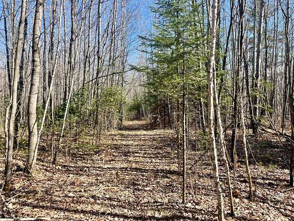 77.6 Acres of Recreational Land for Sale in Couderay, Wisconsin