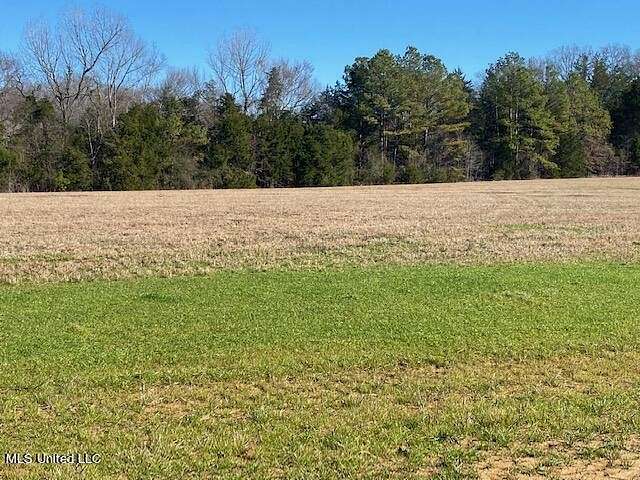 3.1 Acres of Residential Land for Sale in Canton, Mississippi