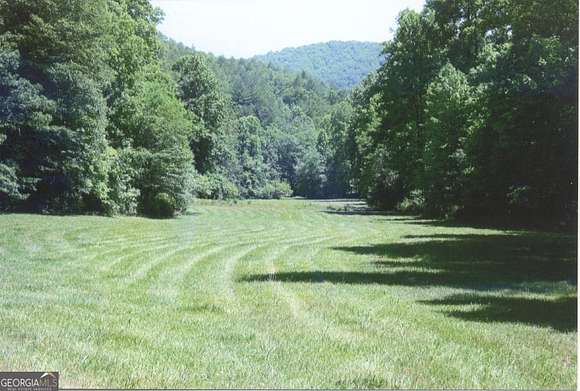 81.3 Acres of Recreational Land & Farm for Sale in Clayton, Georgia