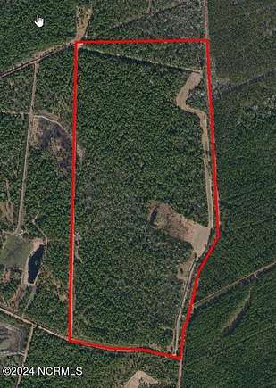 98.6 Acres of Land for Sale in Maple Hill, North Carolina